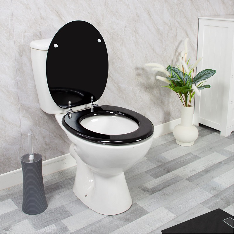 White Toilet with Black Seat